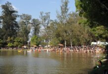 Horto Florestal recebe 25 mil pessoas no aniversário de 199 anos de Limeira